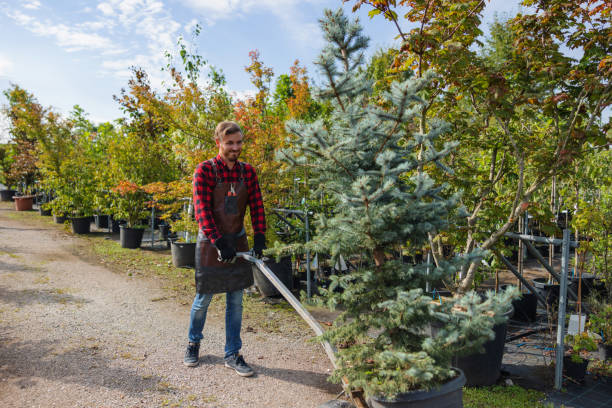 Mulching Services in Ferndale, CA